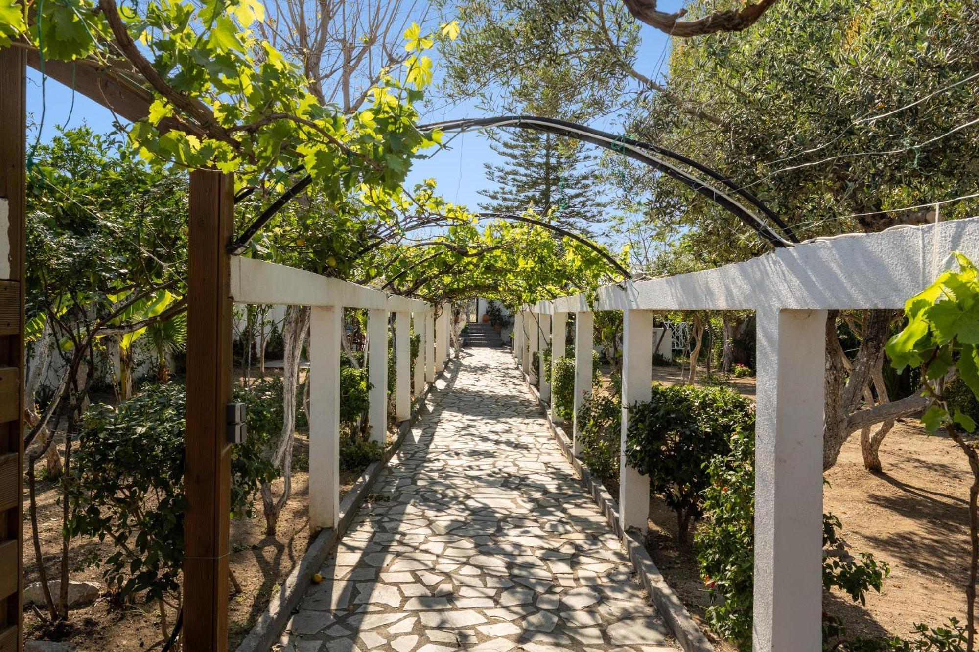Ariadni Apartments Faliraki Dış mekan fotoğraf